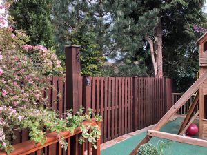 IMG-20190911-WA0069